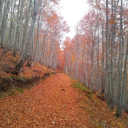 Apartamentos Turisticos Real Valle Ezcaray Zorraquín Eksteriør billede