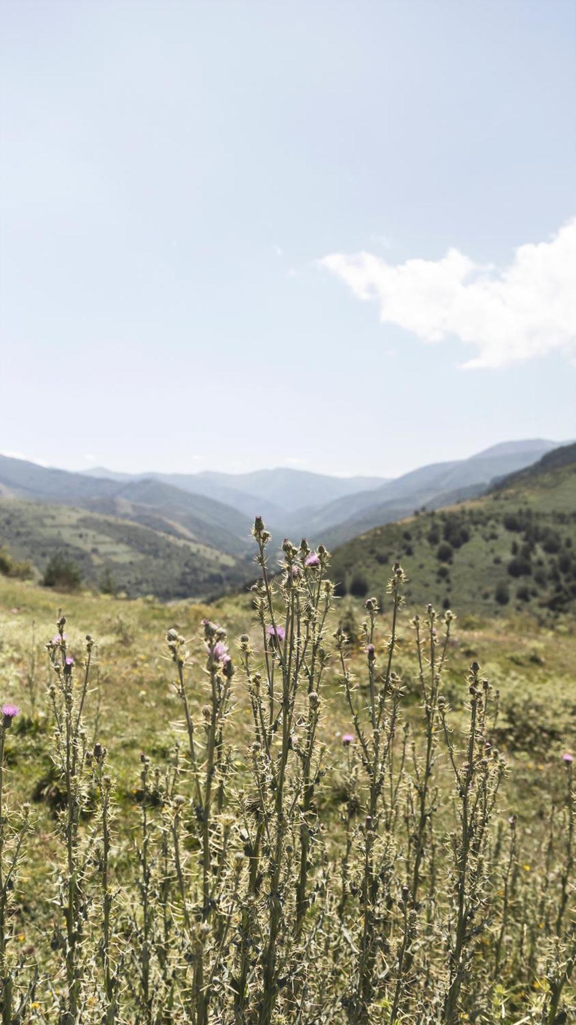 Apartamentos Turisticos Real Valle Ezcaray Zorraquín Eksteriør billede