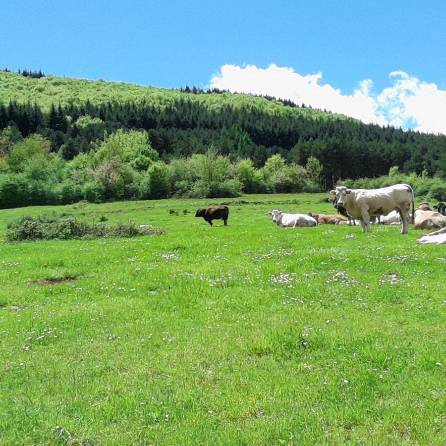 Apartamentos Turisticos Real Valle Ezcaray Zorraquín Eksteriør billede